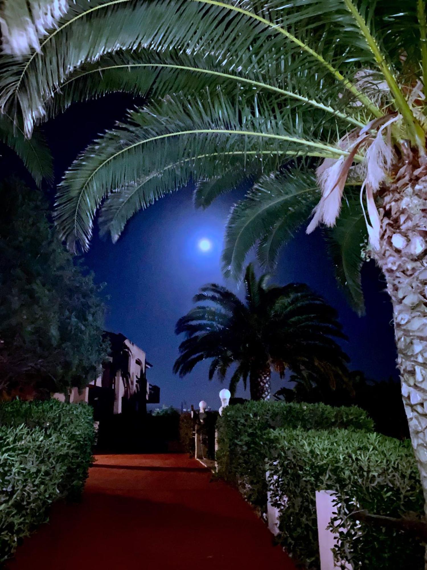 Hotel I Ginepri كوارتوتشو المظهر الخارجي الصورة